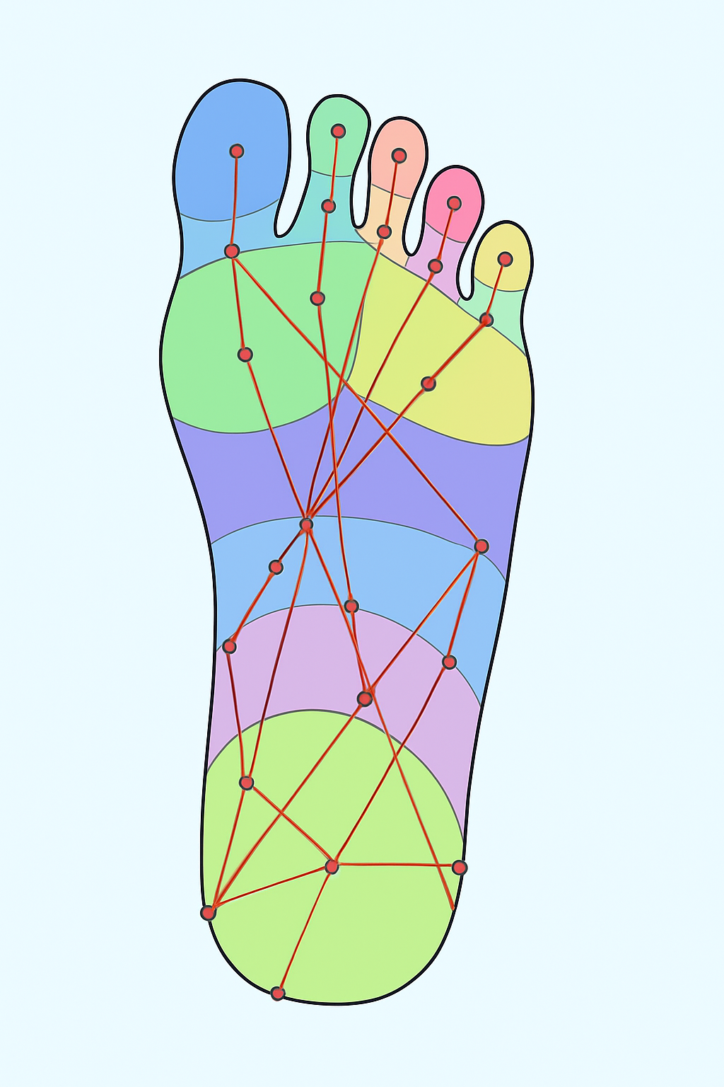 Нейросетевая сегментация
